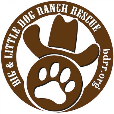 Big Dog Ranch Rescue - Pet Shelter and Rescue in Loxahatchee Groves, Florida