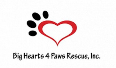 Big Hearts 4 Paws Rescue - Pet Shelter and Rescue in West Palm Beach, Florida