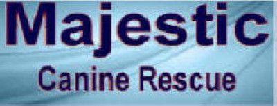 Majestic Canine Rescue - Pet Shelter and Rescue in Yoder, Colorado