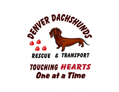 Denver Dachshunds Rescue And Transport - Pet Shelter and Rescue in Aurora, Colorado