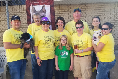 Vintage Dog Rescue - Pet Shelter and Rescue in Lakewood, Colorado