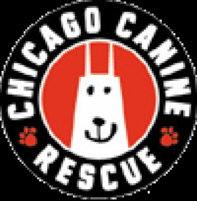 Chicago Canine Rescue - Pet Shelter and Rescue in Chicago, Illinois