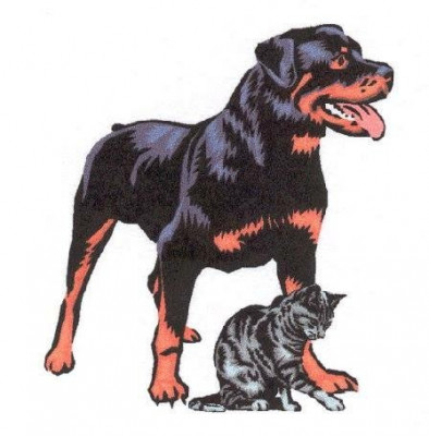 HOPE FOR ANIMALS - Pet Shelter and Rescue in Georgetown, Colorado