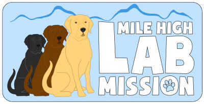 Mile High Labrador Retriever Mission - Pet Shelter and Rescue in Broomfield, Colorado