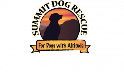 Summit Dog Rescue - Pet Shelter and Rescue in Boulder, Colorado