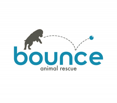 Bounce Animal Rescue - Pet Shelter and Rescue in Fort Collins, Colorado