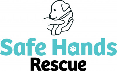 Safe Hands Animal Rescue - Pet Shelter and Rescue in Minneapolis, Minnesota