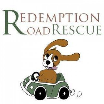 Redemption Road Rescue - Pet Shelter and Rescue in Minneapolis, Minnesota