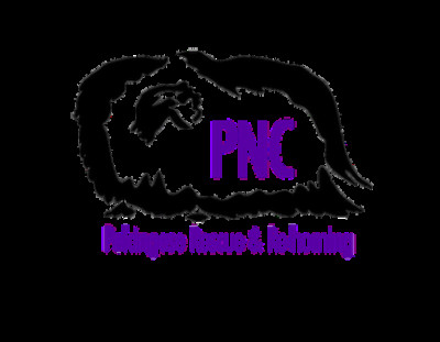 PNC Midwest Rescue - Pet Shelter and Rescue in INVER GROVE, Minnesota