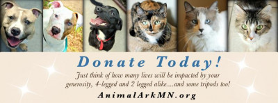 Animal Ark - Pet Shelter and Rescue in Hastings, Minnesota