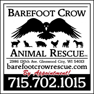 Barefoot Crow Animal Rescue, Inc - Pet Shelter and Rescue in Glenwood City, Wisconsin