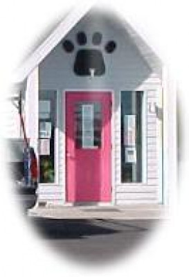 Northwoods Humane Society - Pet Shelter and Rescue in Hayward, Wisconsin