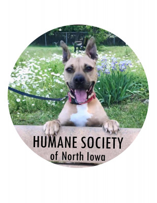 Humane Society Of North Iowa - Pet Shelter and Rescue in Mason City, Iowa