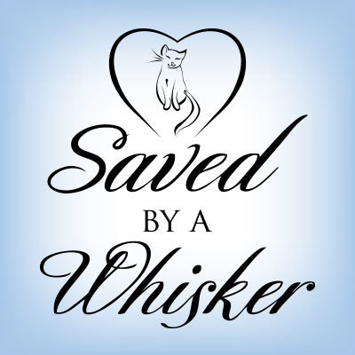 Saved By A Whisker Rescue - Pet Shelter and Rescue in Eagan, Minnesota