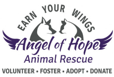 Angel Of Hope Animal Rescue - Pet Shelter and Rescue in Dayton, Minnesota