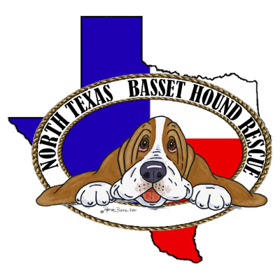North Texas Basset Hound Rescue Inc. - Pet Shelter and Rescue in Grapevine, Texas