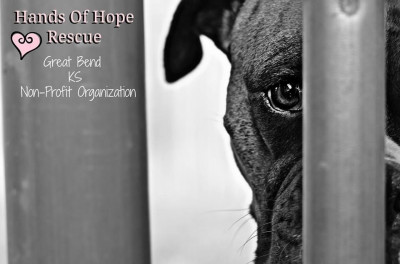 Hands Of Hope Rescue - Pet Shelter and Rescue in Great Bend, Kansas