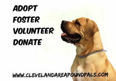 Cleveland Area Pound Pals - Pet Shelter and Rescue in Cleveland, Oklahoma