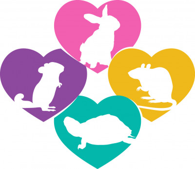 K&R Small Animal Sanctuary - Pet Shelter and Rescue in Little Chute, Wisconsin