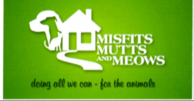Misfits, Mutts And Meows - Pet Shelter and Rescue in Crescent, Oklahoma