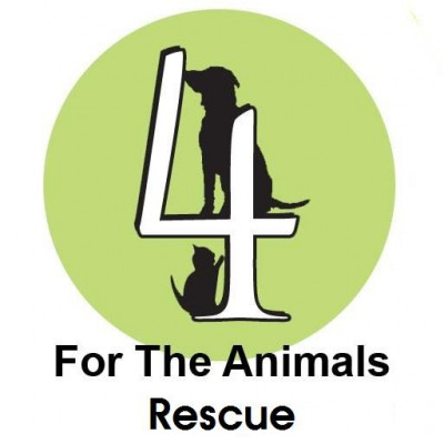 4 The Animals Rescue - Pet Shelter and Rescue in Bartlesville, Oklahoma