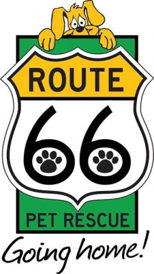 Route 66 Pet Rescue - Pet Shelter and Rescue in Tulsa, Oklahoma
