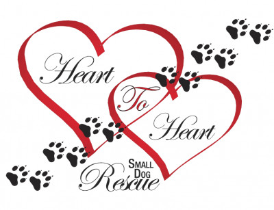 Heart To Heart Small Dog Rescue - Pet Shelter and Rescue in Sebastian, Florida