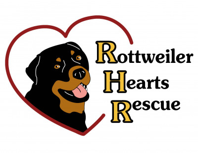 Rottweiler Hearts Rescue - Pet Shelter and Rescue in Chapel Hill, North Carolina