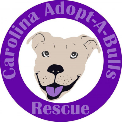 Carolina Adopt-A-BULLS - Pet Shelter and Rescue in Durham, North Carolina