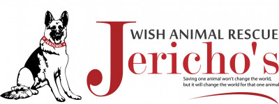 Jerichos Wish Animal Rescue - Pet Shelter and Rescue in Burlington, New Jersey
