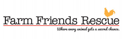 Farm Friends Rescue - Pet Shelter and Rescue in Pittsboro, North Carolina