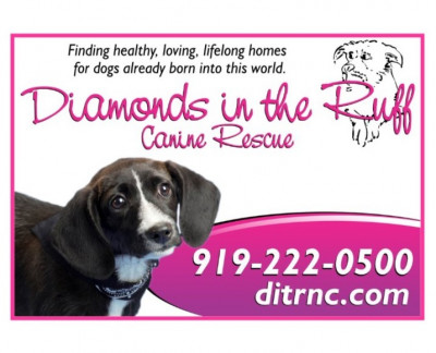 Diamonds In The Ruff - Pet Shelter and Rescue in Goldsboro, North Carolina