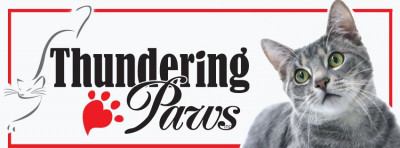 Thundering Paws Adoption Center Inc. - Pet Shelter and Rescue in Fayetteville, North Carolina