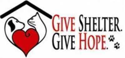 Rockingham County Animal Shelter - Pet Shelter and Rescue in Reidsville, North Carolina