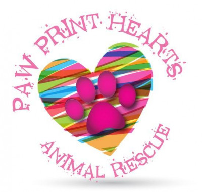 Paw Print Hearts Inc. - Pet Shelter and Rescue in Greater Northdale, Florida