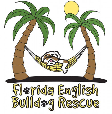 Florida English Bulldog Rescue - Pet Shelter and Rescue in Odessa, Florida