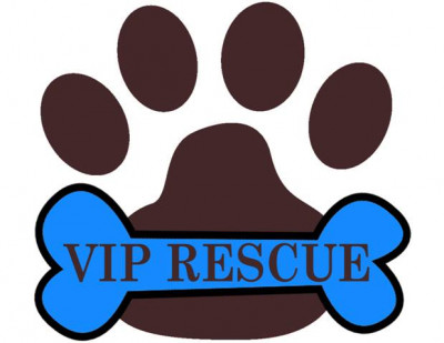 VIP Rescue - Pet Shelter and Rescue in Redington Beach, Florida