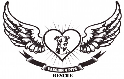 Passion 4 Pits Rescue - Pet Shelter and Rescue in St. Petersburg, Florida