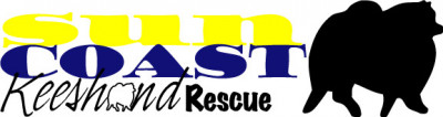 Suncoast Keeshond Rescue - Pet Shelter and Rescue in Elfers, Florida