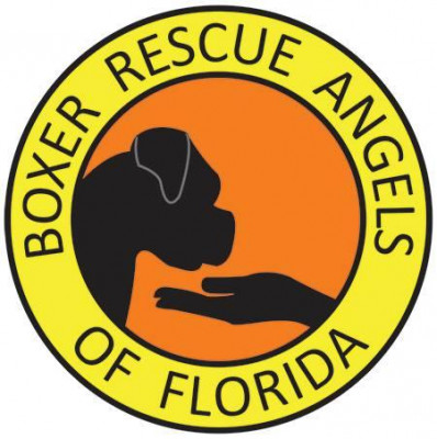 Boxer Rescue Angels Of Florida - Pet Shelter and Rescue in Lakewood Ranch, Florida