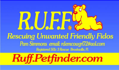 R.U.F.F. Rescuing Unwanted Friendly Fidos - Pet Shelter and Rescue in Brooksville, Florida