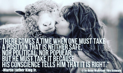 True & Faithful Pet Rescue Mission,Inc - Pet Shelter and Rescue in Venice, Florida