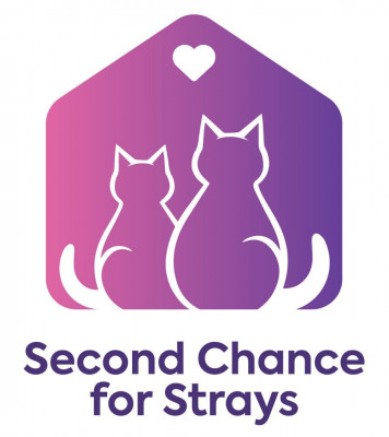 Second Chance For Strays Inc. - Pet Shelter and Rescue in Clearwater, Florida