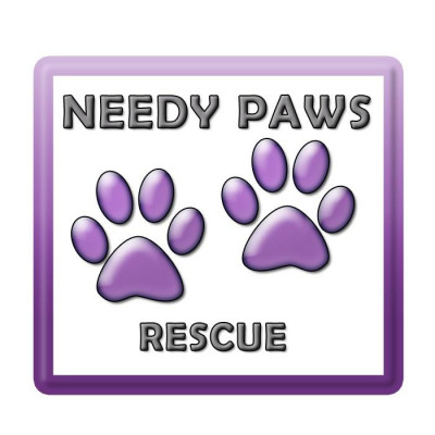 Needy Paws Rescue - Pet Shelter and Rescue