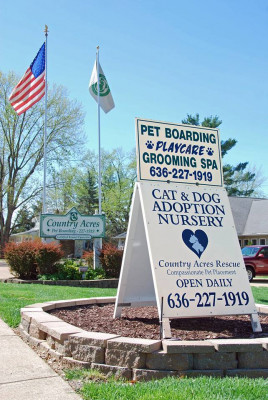 Country Acres Rescue - Pet Shelter and Rescue in Ballwin, Missouri