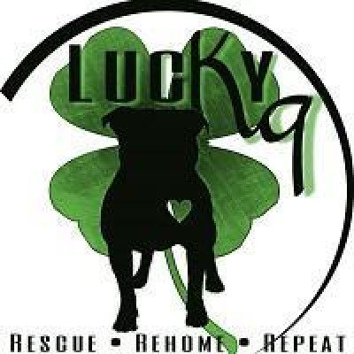 Lucky K9 Rescue - St. Charles, MO - Pet Shelter and Rescue in St. Peters, Missouri