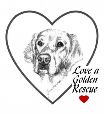 Love A Golden Rescue - Pet Shelter and Rescue in St. Louis, Missouri