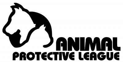 Animal Protective League - Pet Shelter and Rescue in Springfield, Illinois