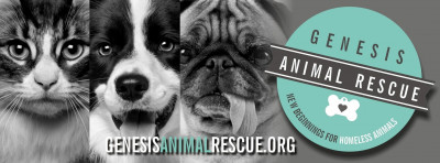 Genesis Animal Rescue - Pet Shelter and Rescue in Mattoon, Illinois