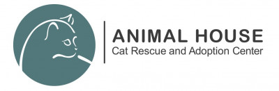 Animal House Cat Rescue And Adoption Center - Pet Shelter and Rescue in St. Louis, Missouri